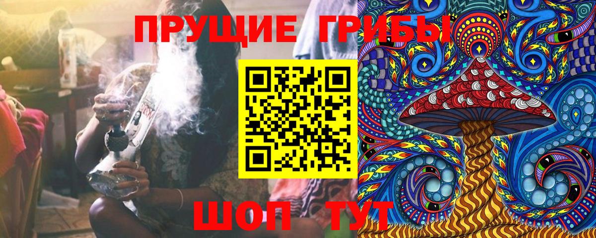 Псилоцибиновые грибы мухоморы  Вход с VPN  Псилоцибиновые грибы Psilocybe  Пенза 